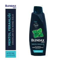 Blendax Menthol Ferahlığı Erkekler İçin Şampuan 500 Ml