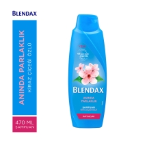 Blendax Kiraz Çiçeği Özlü Şampuan 500 Ml