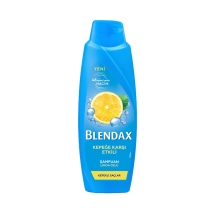 Blendax Men Kepeğe Karşı Etkili Şampuan 500 Ml
